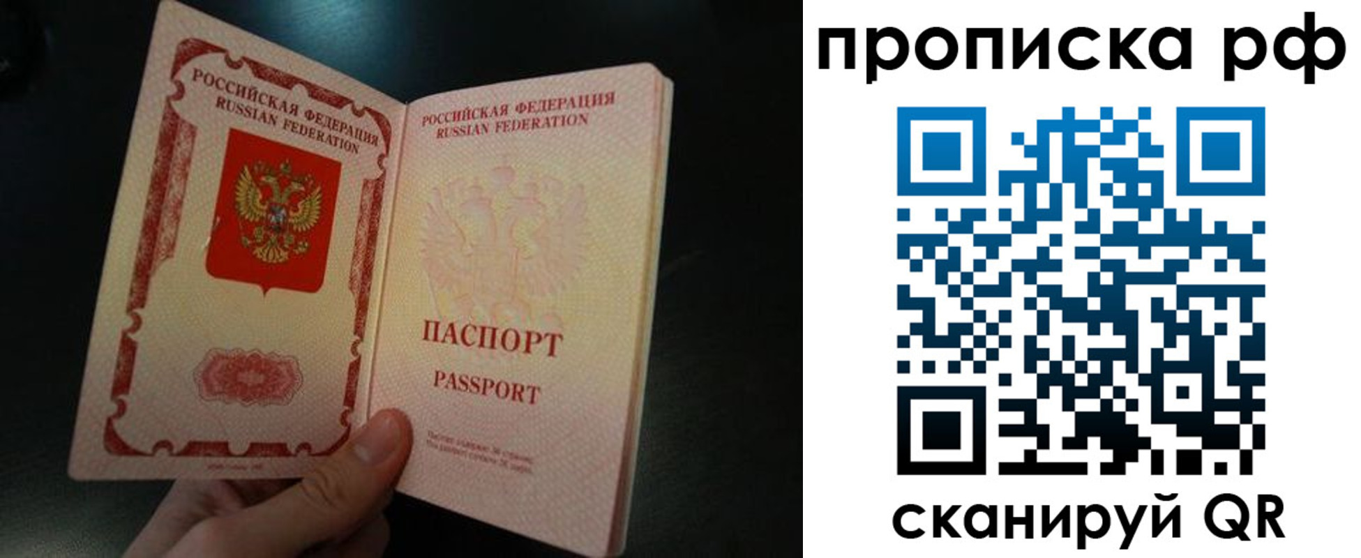 прописка законно в Полярных Зорях
